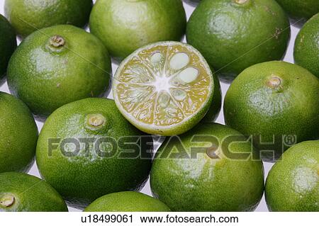 Stock Image - Limes . Fotosearch