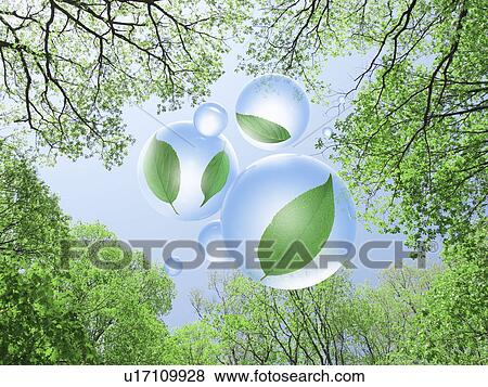 Stock Photo - Low angle view of forest and spheres with leaves inside. Fotosearch