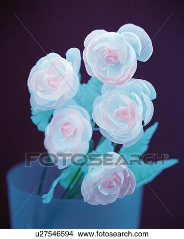 Picture - Negative image of flowers in a vase. Fotosearch