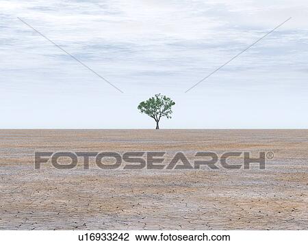 Stock Image - One tree in a dry earth. Fotosearch