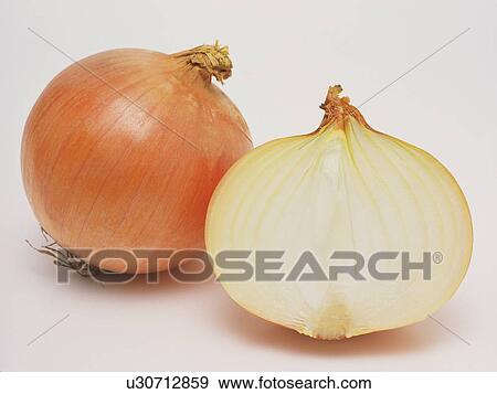Onions View Large Photo Image Stock Photo - Onions. Fotosearch
