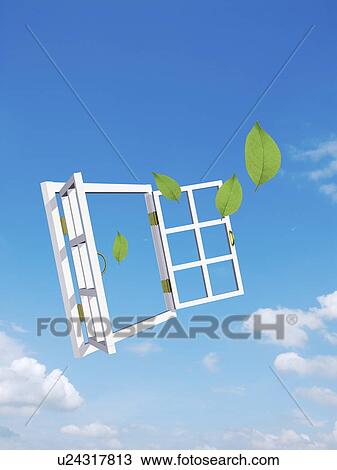 Open window with leaves coming out View Large Photo Image Stock Image - Open window with leaves coming out. Fotosearch