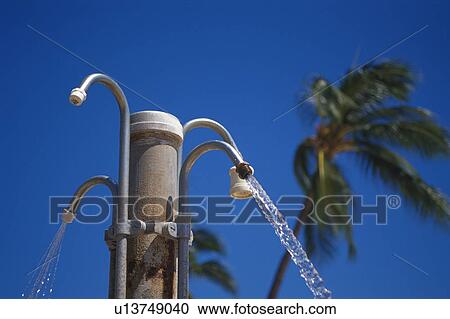 Stock Image - Outdoor shower with palm trees in the background. Fotosearch