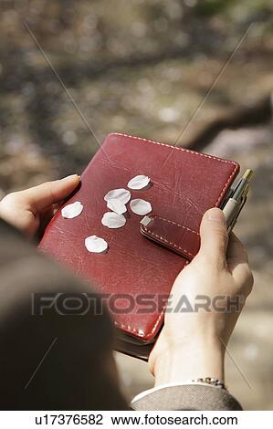 Petals of cherry flower on personal organizer View Large Photo Image Stock Image - Petals of cherry flower on personal organizer. Fotosearch