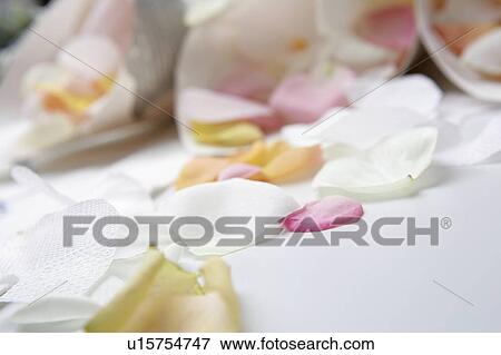 Petals on table View Large Photo Image Stock Photo - Petals on table. Fotosearch