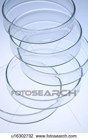 Pile of petri dishes, close up, blue background View Large Photo Image Stock Image - Pile of petri dishes, close up, blue background. Fotosearch