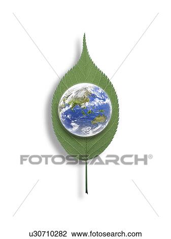 Stock Image - Planet earth with leaf . Fotosearch
