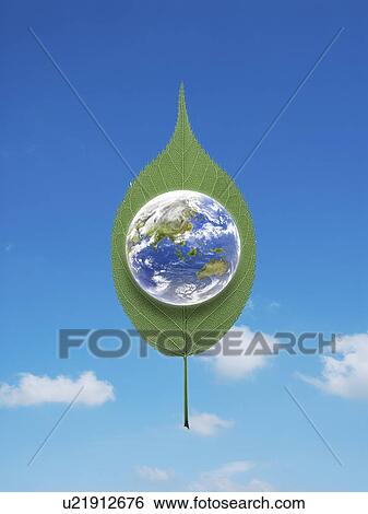 Stock Photograph - Planet earth with leaf . Fotosearch