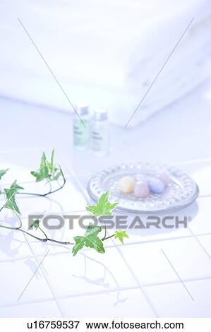 Plant and towels on floor View Large Photo Image Stock Photo - Plant and towels on floor. Fotosearch