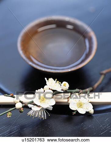 Stock Image - Plum blossoms next to a small wooden bowl of water. Fotosearch