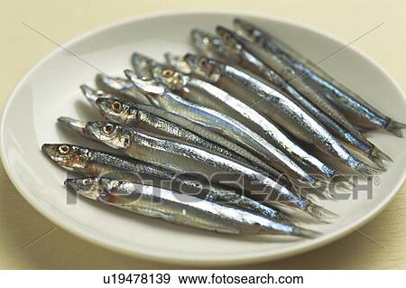 Stock Photo - Pond herrings on a plate. Fotosearch