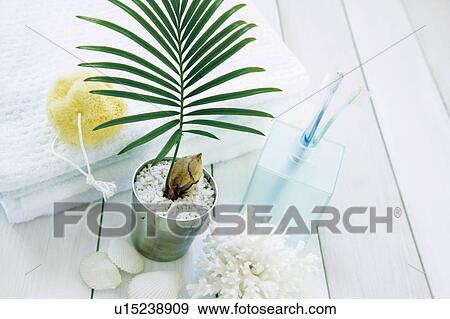 Potted plant, bar of soap and sponge next to towels in bathroom View Large Photo Image Stock Photo - Potted plant, bar of soap and sponge next to towels in bathroom. Fotosearch