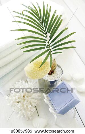 Potted plant, bar of soap and sponge next to towels in bathroom View Large Photo Image Stock Photography - Potted plant, bar of soap and sponge next to towels in bathroom. Fotosearch