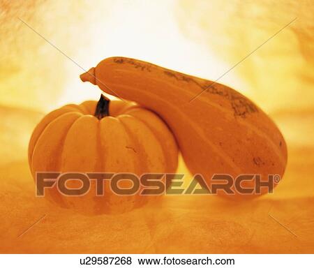 Stock Photo - Pumpkin and Kabocha (Japanese pumpkin) side by side. Fotosearch