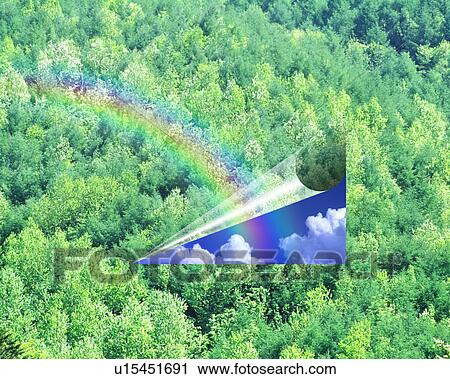 Stock Image - Rainbow and clouds over forest. Fotosearch