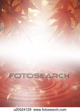 Stock Photo - Rippled water and leaves in autumn. Fotosearch