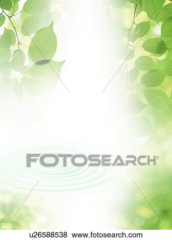 Rippled water and leaves View Large Photo Image Stock Photo - Rippled water and leaves. Fotosearch