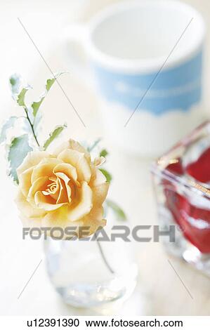 Rose in a vase next to a coffee mug View Large Photo Image Stock Image - Rose in a vase next to a coffee mug. Fotosearch