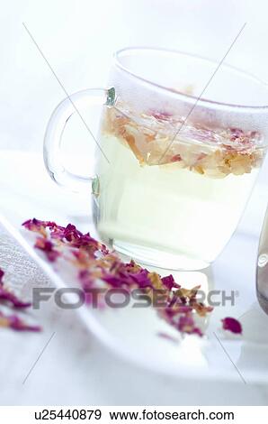 Stock Photo - Rose pink tea. Fotosearch