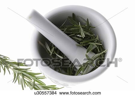 Rosemary in a mortar and pestle View Large Photo Image Picture - Rosemary in a mortar and pestle. Fotosearch