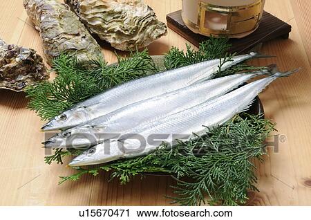 Stock Image - Saury. Fotosearch