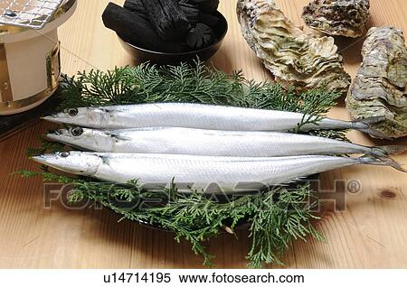 Saury View Large Photo Image Stock Photography - Saury. Fotosearch