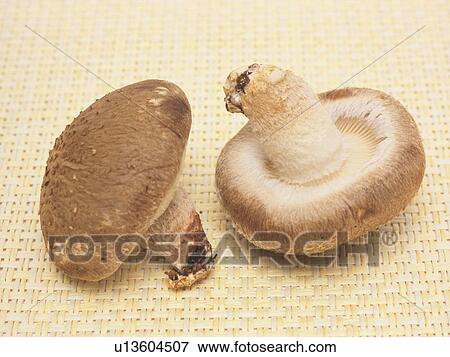 Stock Photo - Shiitake mushrooms. Fotosearch