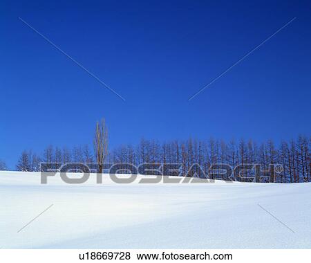 Stock Photo - Snow covered rural landscape. Fotosearch