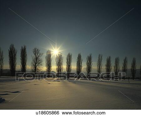 Stock Photograph - Snow covered rural landscape. Biei-machi, Hokkaido, Japan, . Fotosearch