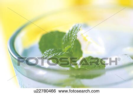 Soda with mint garnish View Large Photo Image Stock Photograph - Soda with mint garnish. Fotosearch