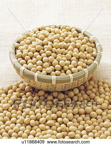 Stock Photo - Soybeans. Fotosearch