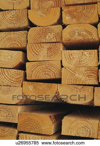 Stacked timber View Large Photo Image Stock Photography - Stacked timber. Fotosearch