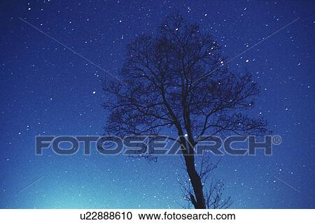 Stock Image - Starlit sky. Fotosearch