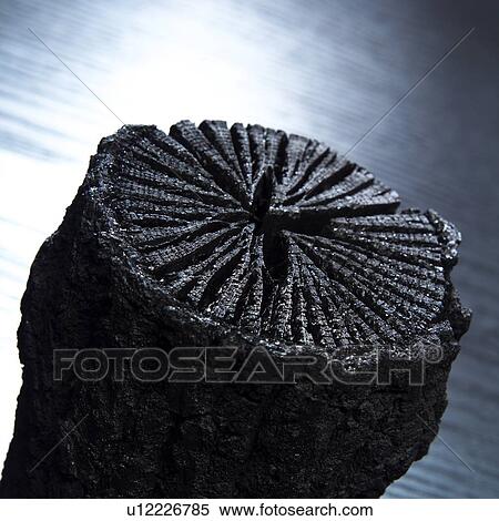 Stock Photography - Stick of Japanese wood charcoal (Binchotan). Fotosearch