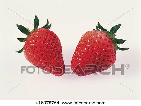 Picture - Strawberries. Fotosearch