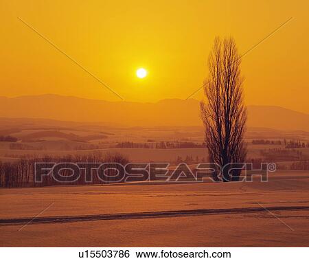 Sunrise over landscape covered in snow View Large Photo Image Stock Photograph - Sunrise over landscape covered in snow. Fotosearch