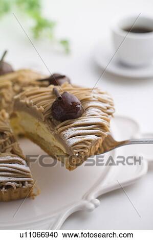 Tart with chestnut cream, piece of tart on server, white background View Large Photo Image Stock Image - Tart with chestnut cream, piece of tart on server, white background. Fotosearch
