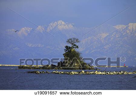 Tateyama Mountains from Amaharashi View Large Photo Image Stock Photo - Tateyama Mountains from Amaharashi. Fotosearch