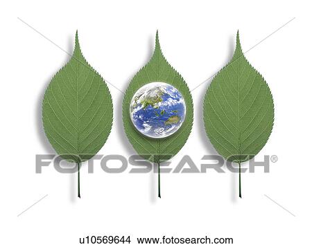 Three leaves and planet earth View Large Photo Image Picture - Three leaves and planet earth. Fotosearch