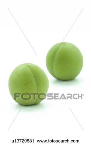 Two Unripe Plums View Large Photo Image Stock Image - Two Unripe Plums. Fotosearch