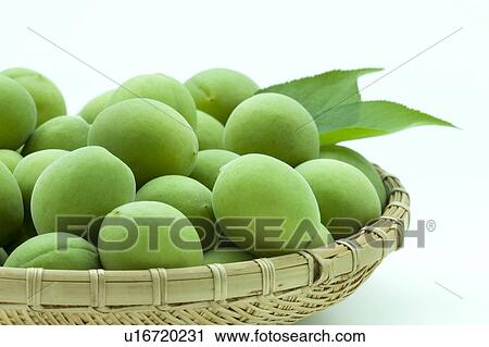 Unripe Plums View Large Photo Image Stock Image - Unripe Plums. Fotosearch