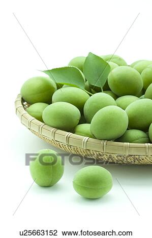 Stock Image - Unripe Plums. Fotosearch