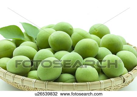 Unripe Plums View Large Photo Image Stock Image - Unripe Plums. Fotosearch