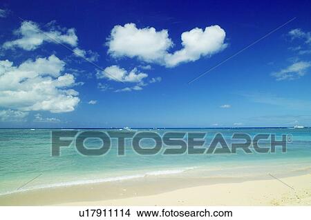 Picture - Waikiki beach, Hawaii, USA. Fotosearch