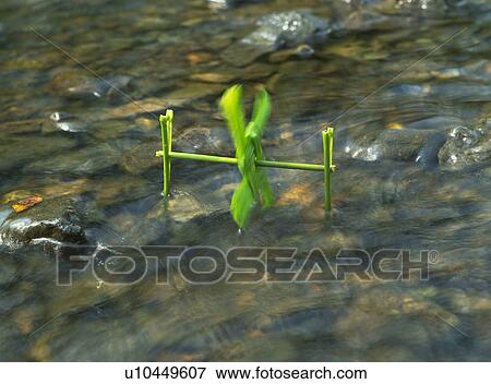 Stock Photo - Water wheel spinning in a stream. Fotosearch