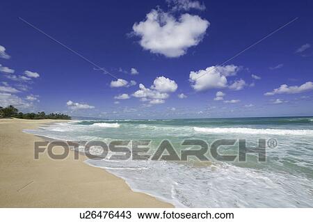 Waves crashing on beach, Oahu, Hawaii Islands, USA View Large Photo Image Stock Image - Waves crashing on beach, Oahu, Hawaii Islands, USA. Fotosearch