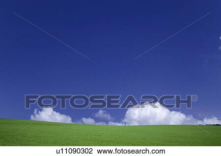 Stock Image - Wide open green field. Hokkaido, Japan. Fotosearch