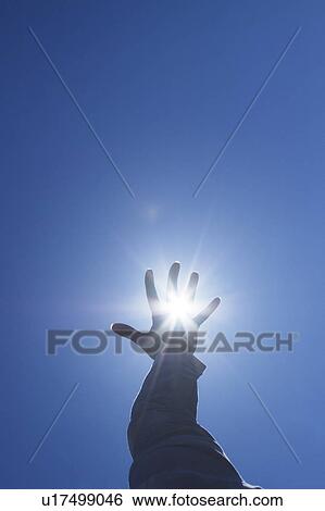 Woman's hand reaching sun View Large Photo Image Stock Photograph - Woman's hand reaching sun. Fotosearch