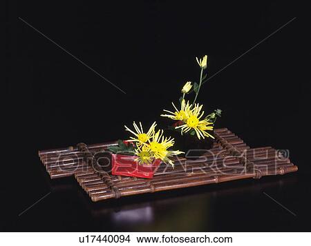 Picture - Yellow flowers in Japanese lacquered boxes on wooden tray. Fotosearch