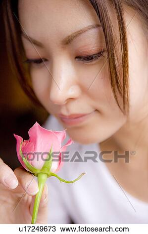 Young woman holding pink rose, close up View Large Photo Image Stock Image - Young woman holding pink rose, close up. Fotosearch